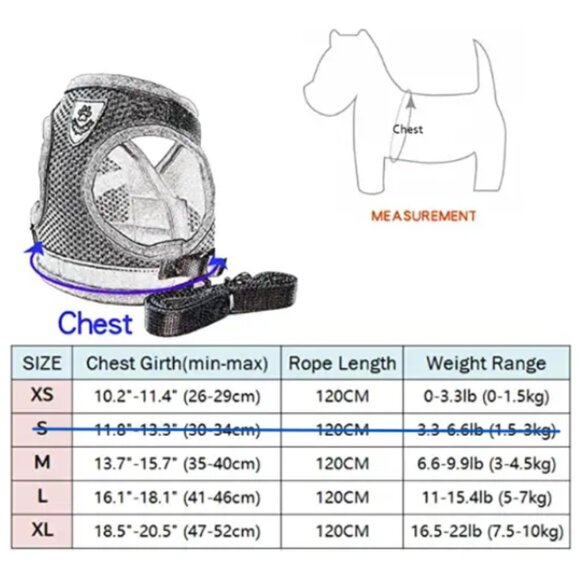 BRAND NEW - BLUE SIZE L - Dog & Cat Adjustable Chest Pet Harness Vest Leash Set - Picture 6 of 7